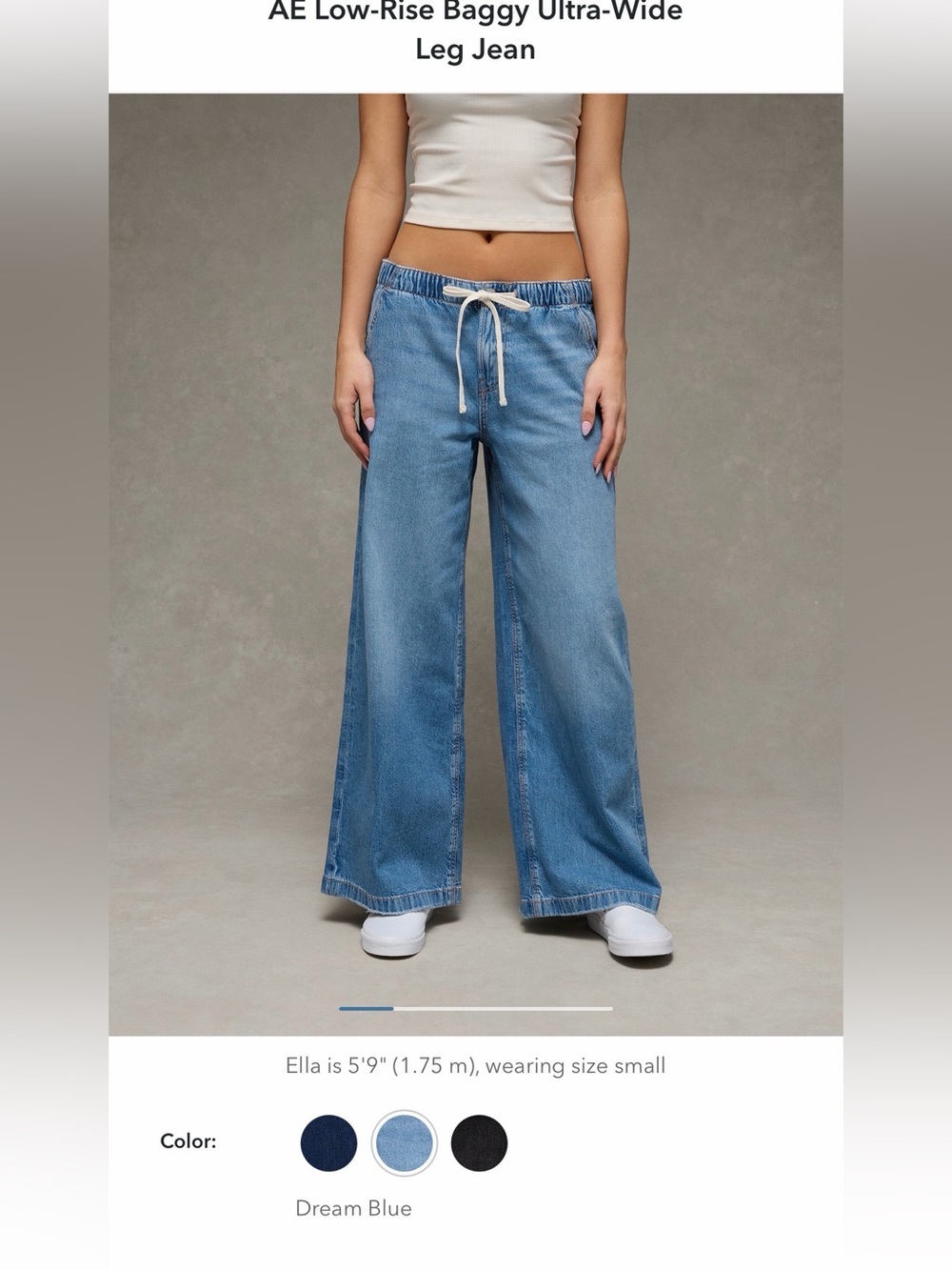 AE Low Rise Baggy Ultra-Wide Leg Jeans